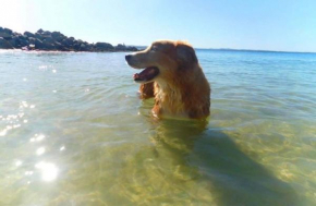 4 Gilchrist Rd - pet friendly, air con, Wi-Fi